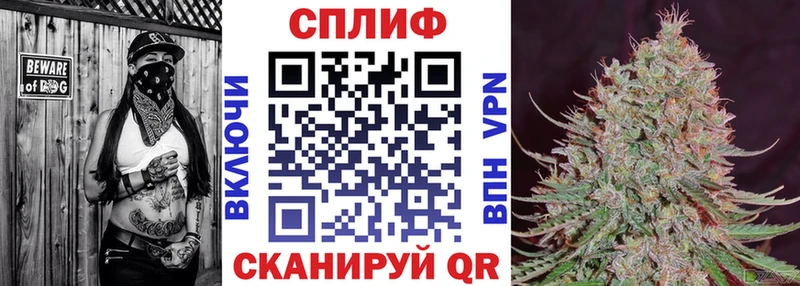 Что такое Тольятти Альфа ПВП Бошки Шишки