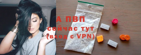 амф Верхний Тагил