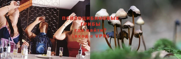 амф Верхний Тагил
