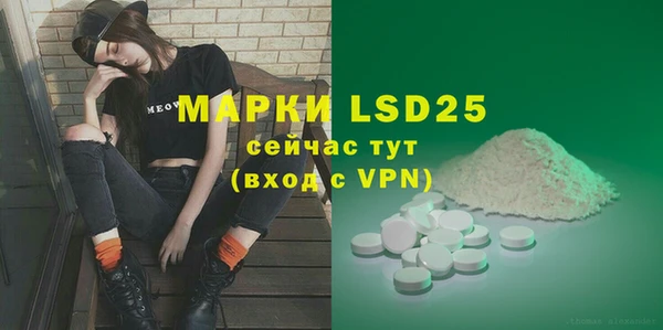 амф Верхний Тагил