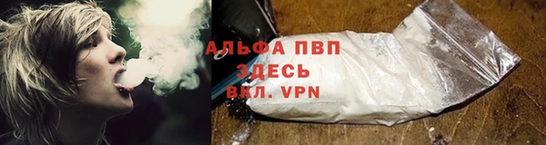 амф Верхний Тагил