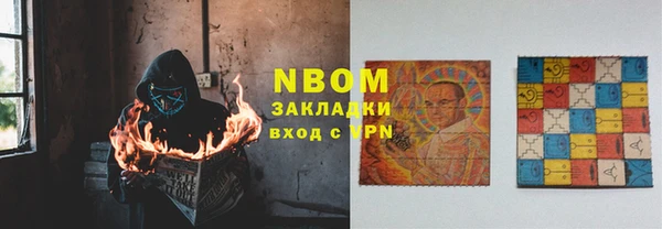 амф Верхний Тагил