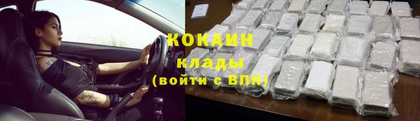 амф Верхний Тагил