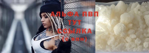 амф Верхний Тагил