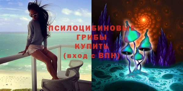 прущая мука Верея