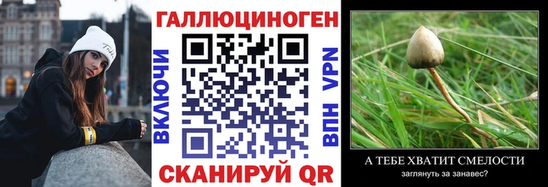 Галлюциногенные грибы Psilocybe  купить наркотик  Тольятти 
